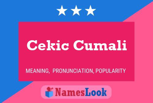 Cekic Cumali Name Poster