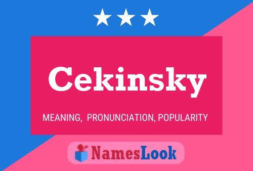 Cekinsky Name Poster