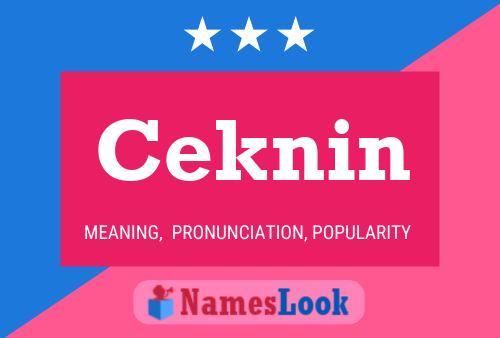 Ceknin Name Poster