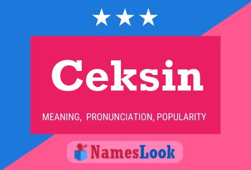 Ceksin Name Poster