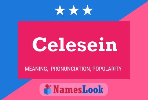 Celesein Name Poster