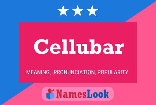 Cellubar Name Poster