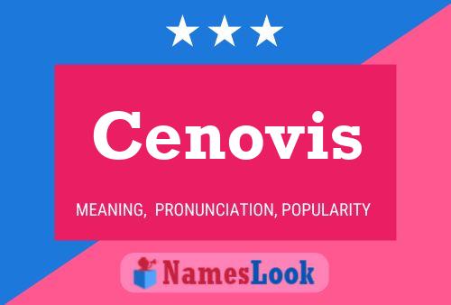 Cenovis Name Poster