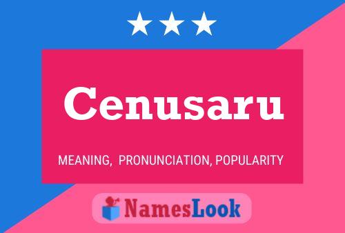 Cenusaru Name Poster