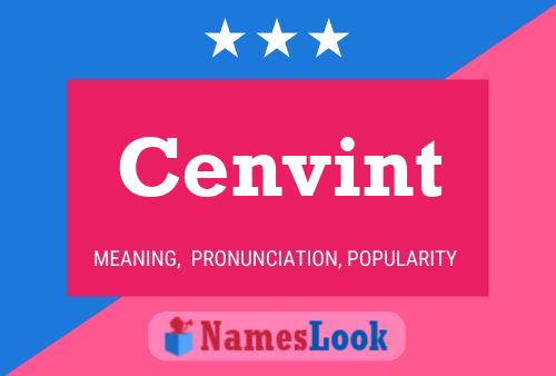 Cenvint Name Poster