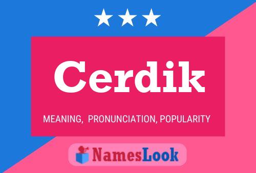 Cerdik Name Poster