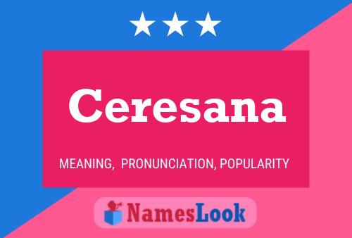 Ceresana Name Poster