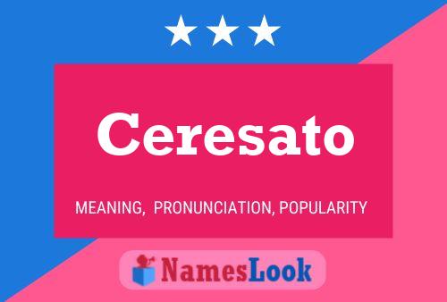 Ceresato Name Poster