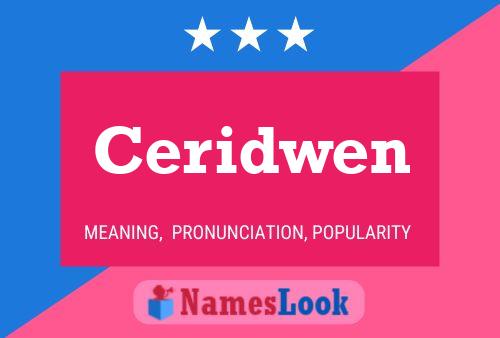 Ceridwen Name Poster