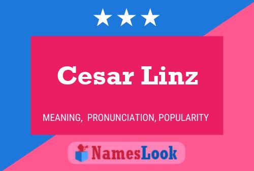 Cesar Linz Name Poster