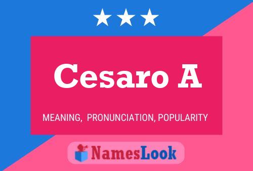 Cesaro A Name Poster