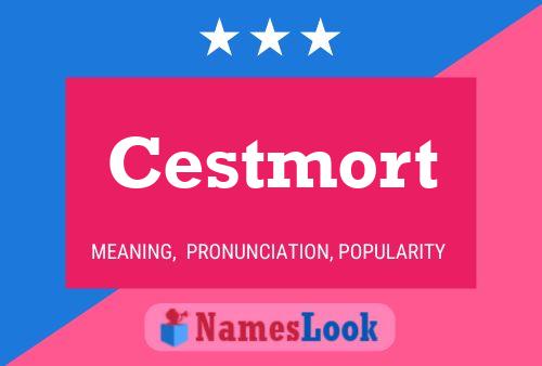 Cestmort Name Poster