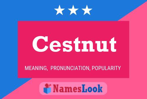 Cestnut Name Poster