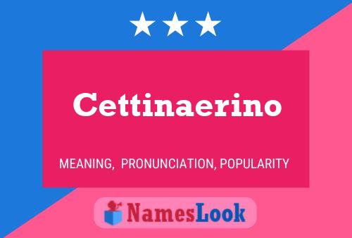 Cettinaerino Name Poster