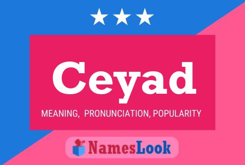 Ceyad Name Poster