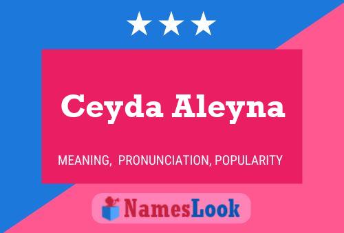 Ceyda Aleyna Name Poster