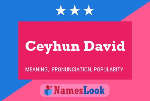 Ceyhun David Name Poster