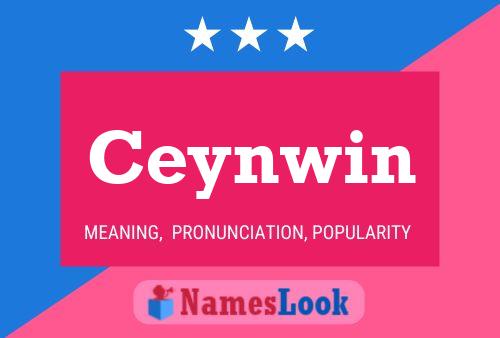 Ceynwin Name Poster