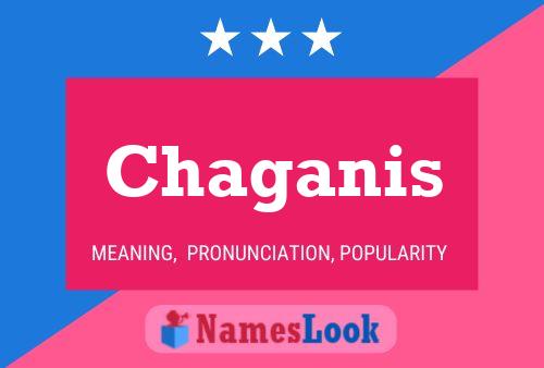 Chaganis Name Poster