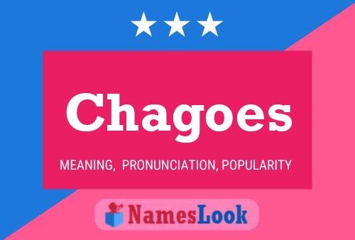 Chagoes Name Poster