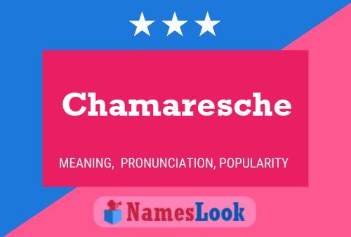 Chamaresche Name Poster