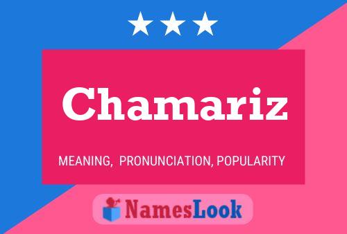 Chamariz Name Poster