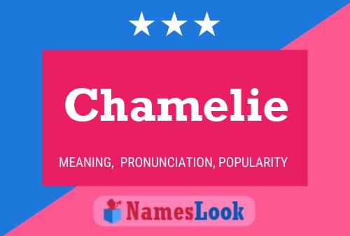 Chamelie Name Poster