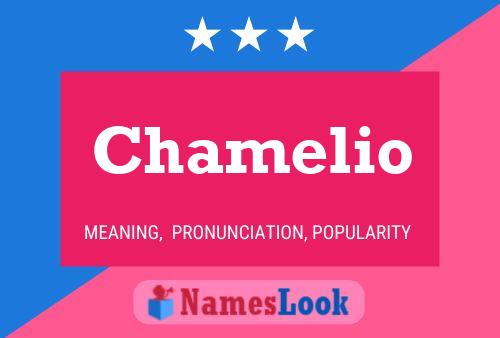 Chamelio Name Poster