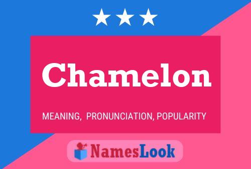 Chamelon Name Poster