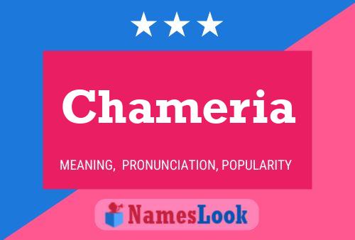 Chameria Name Poster