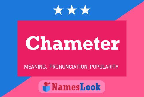 Chameter Name Poster