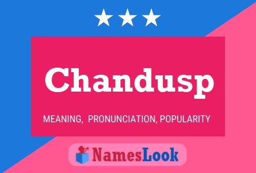 Chandusp Name Poster