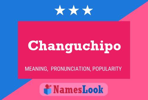 Changuchipo Name Poster