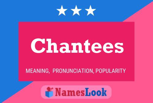 Chantees Name Poster