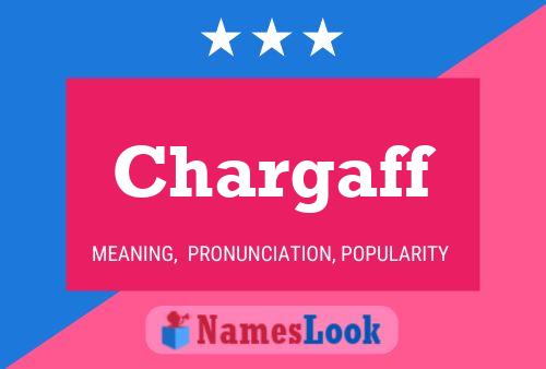 Chargaff Name Poster