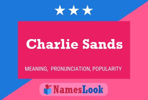 Charlie Sands Name Poster