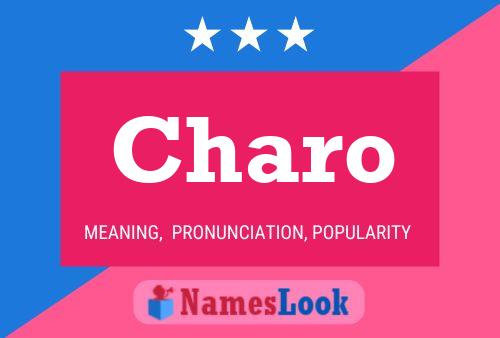 Charo Name Poster