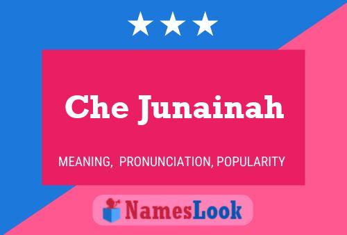 Che Junainah Name Poster