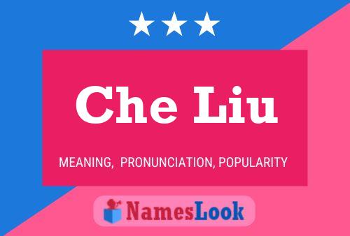 Che Liu Name Poster