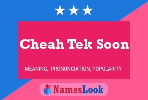 Cheah Tek Soon Name Poster