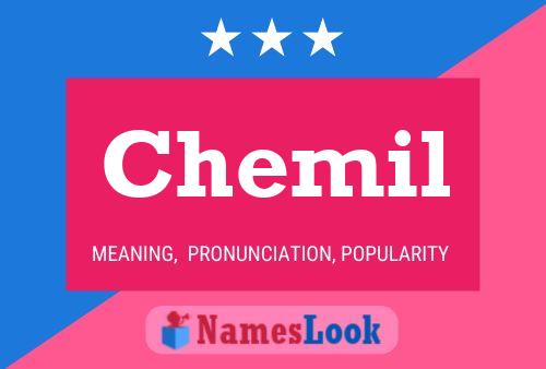 Chemil Name Poster