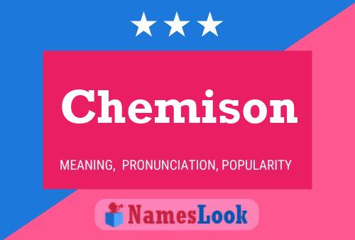 Chemison Name Poster