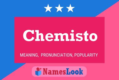 Chemisto Name Poster