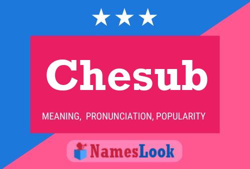 Chesub Name Poster