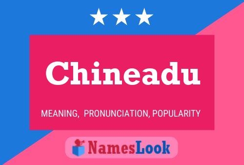 Chineadu Name Poster