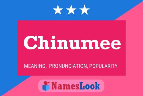 Chinumee Name Poster