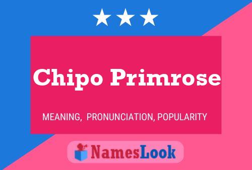 Chipo Primrose Name Poster