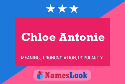 Chloe Antonie Name Poster