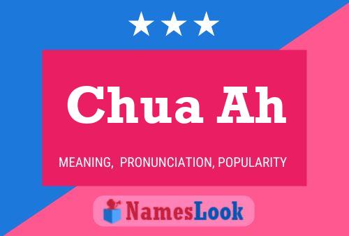 Chua Ah Name Poster