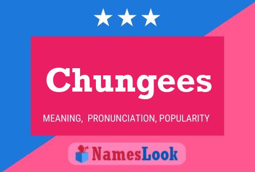 Chungees Name Poster